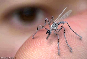 bug-robots